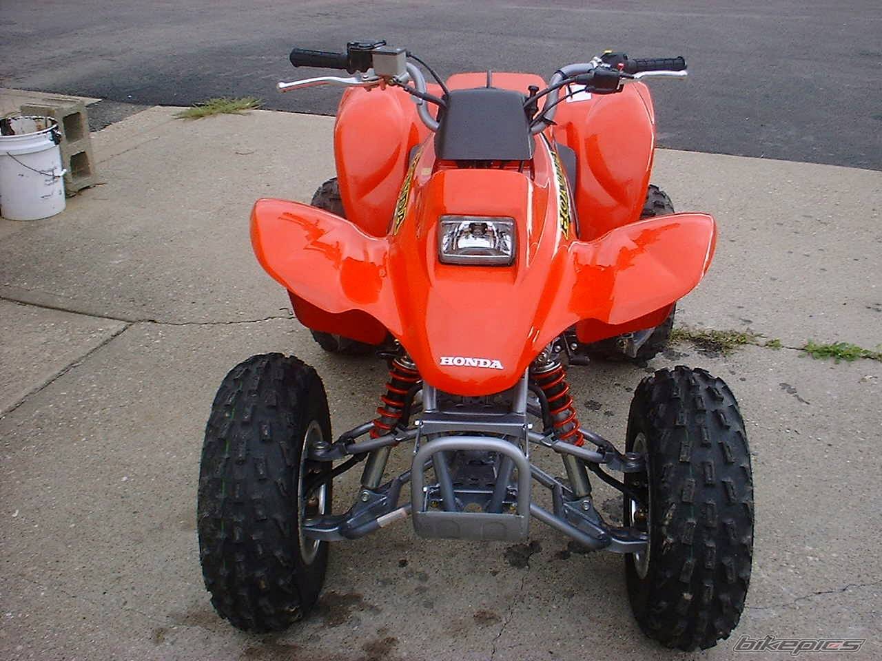 Photo 17681