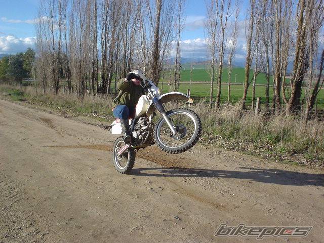 Photo 176812