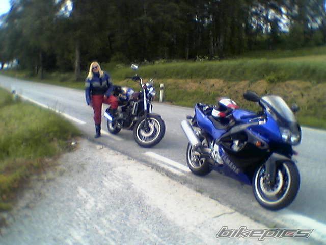 Photo 176847