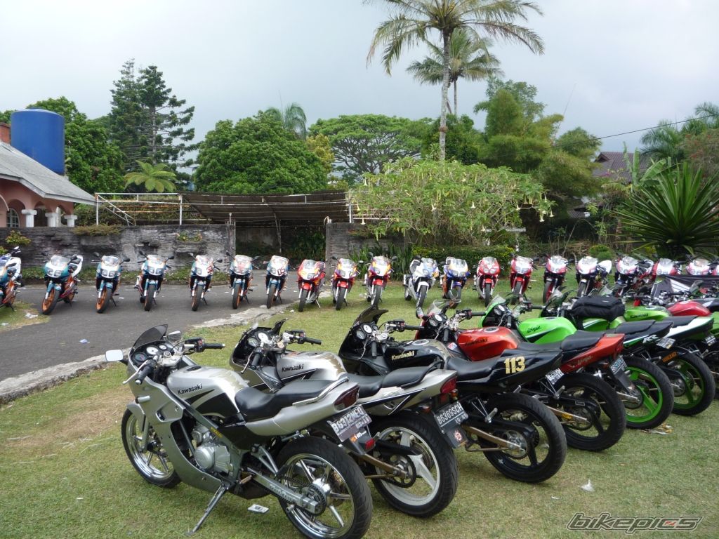 Photo 1769521