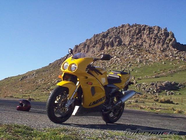 Photo 176954