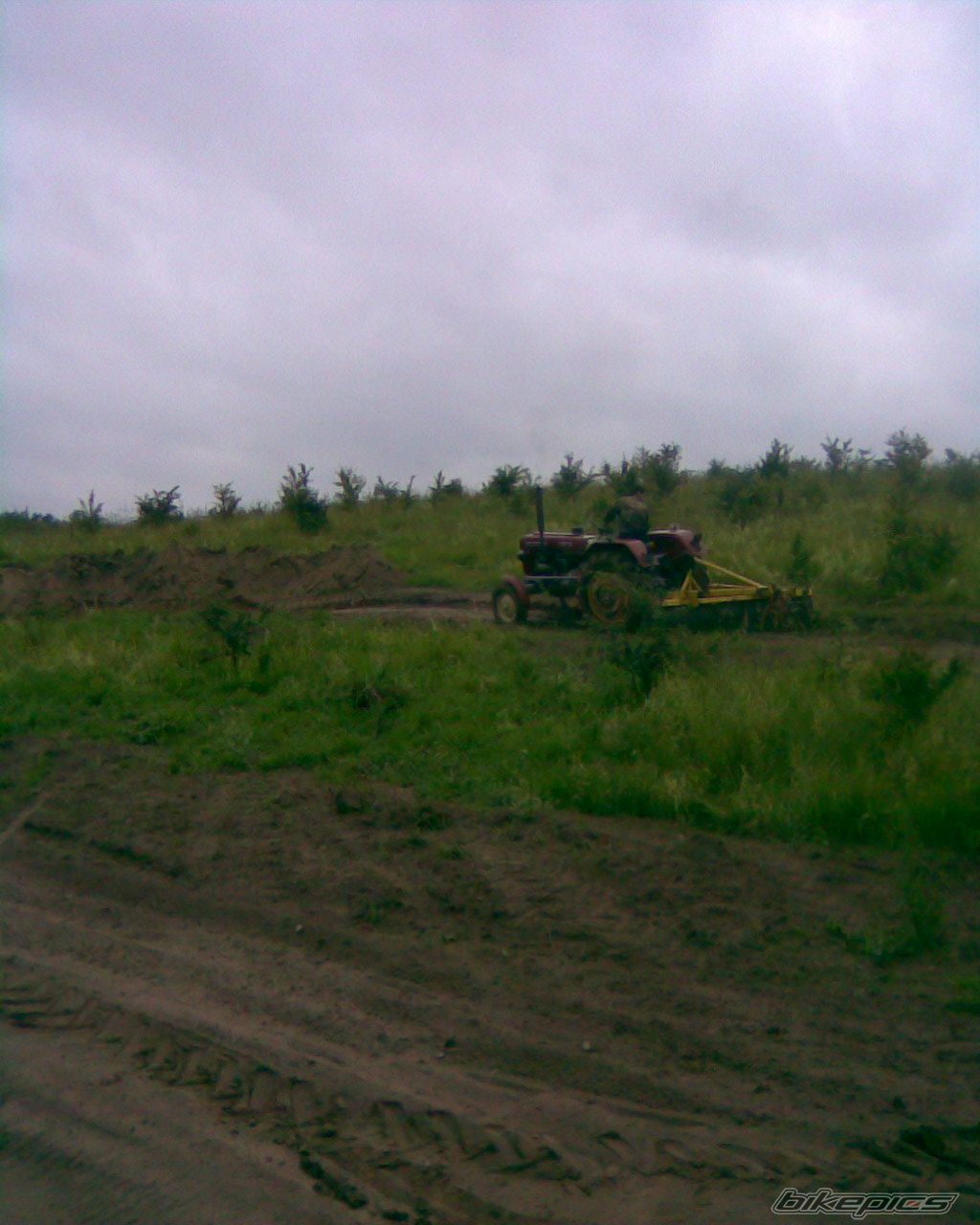 Photo 1769774
