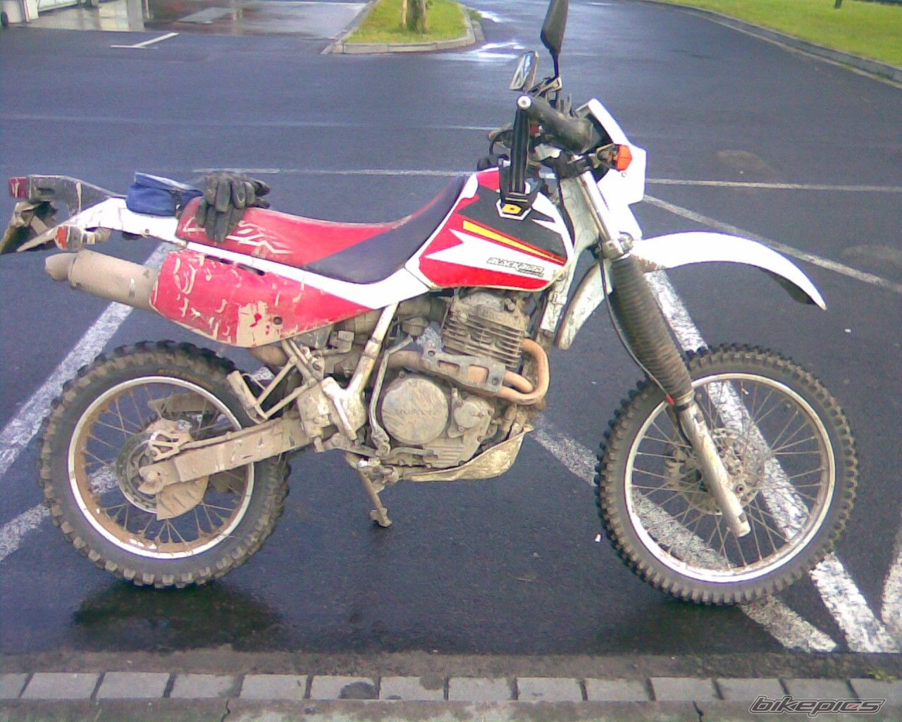Photo 1769778