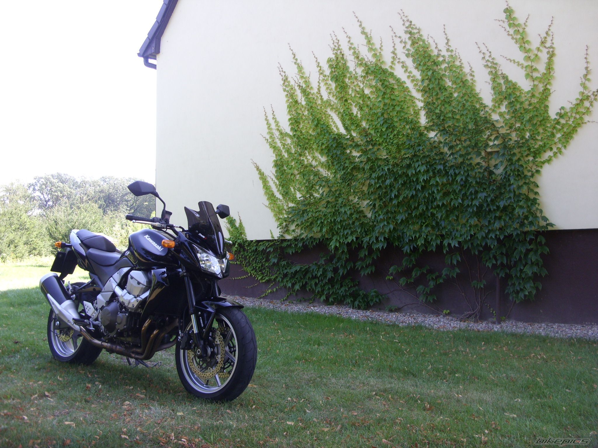 Photo 1769863