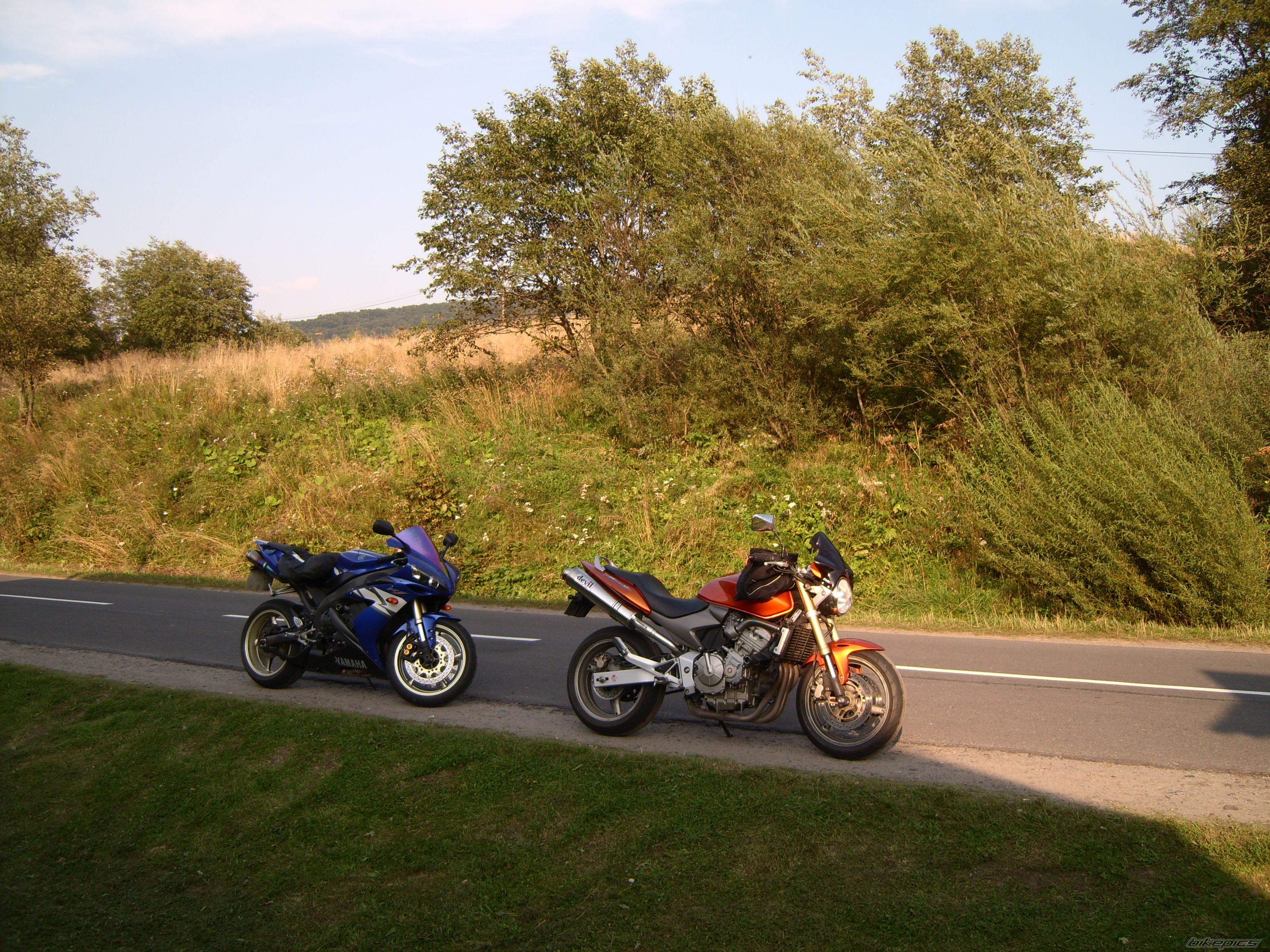 Photo 1769876