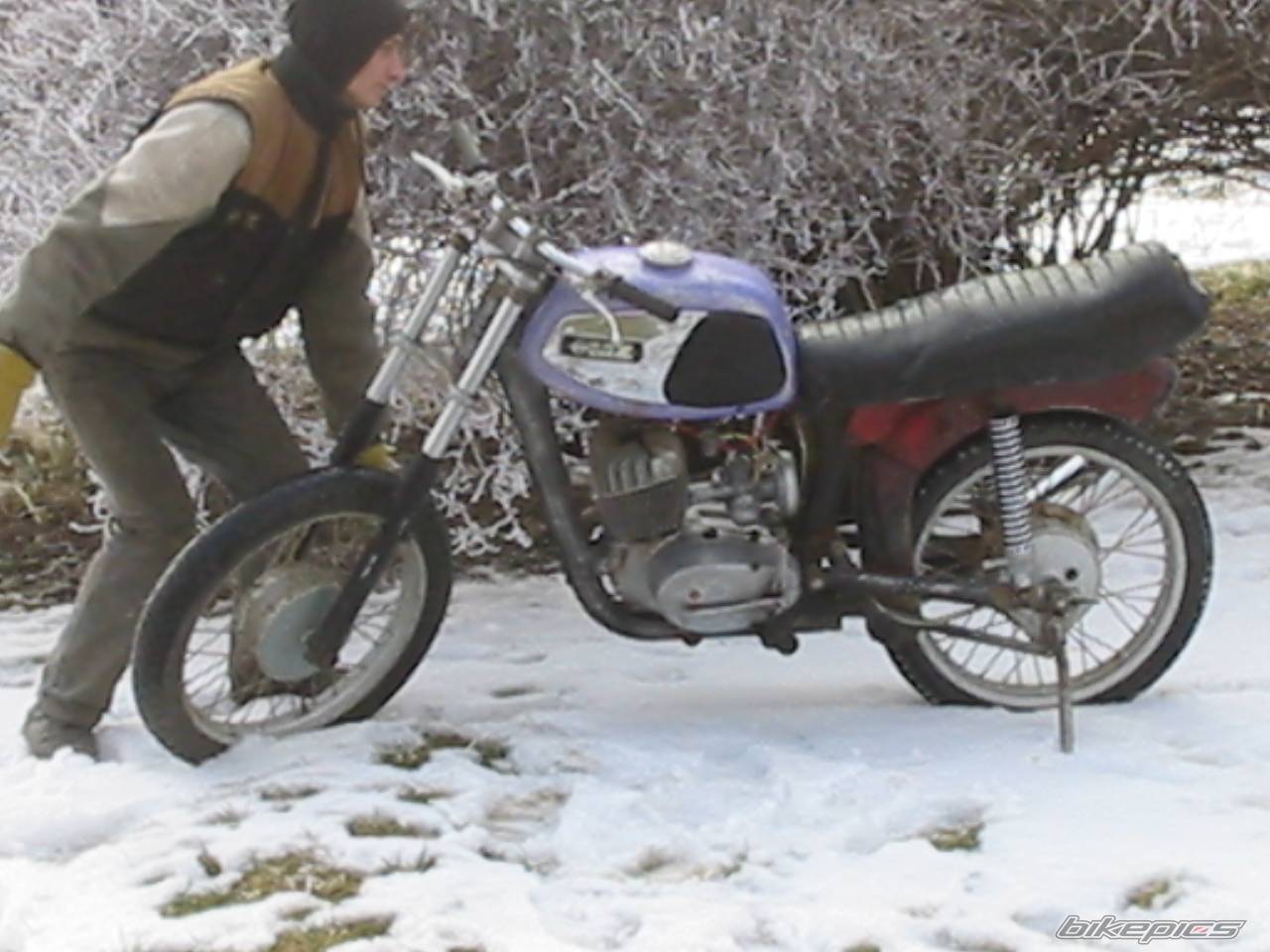 Photo 176992