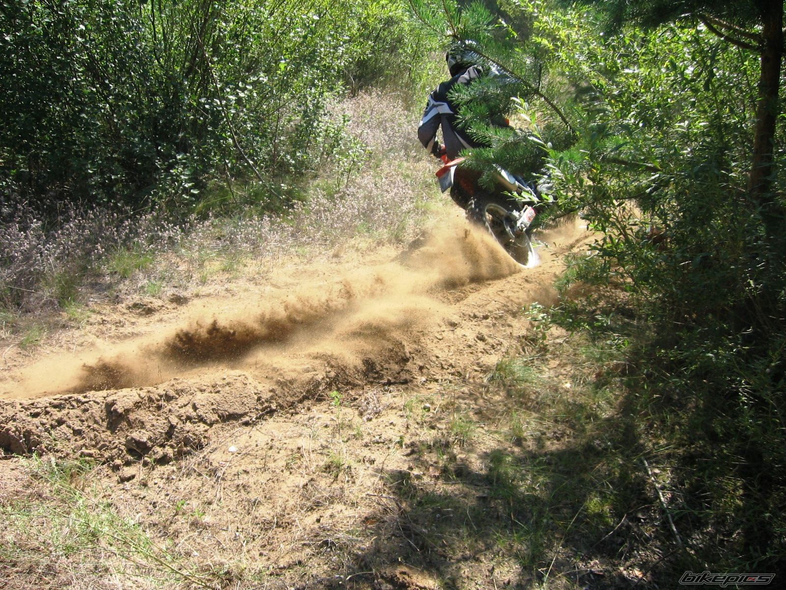 Bike Photo 1769921