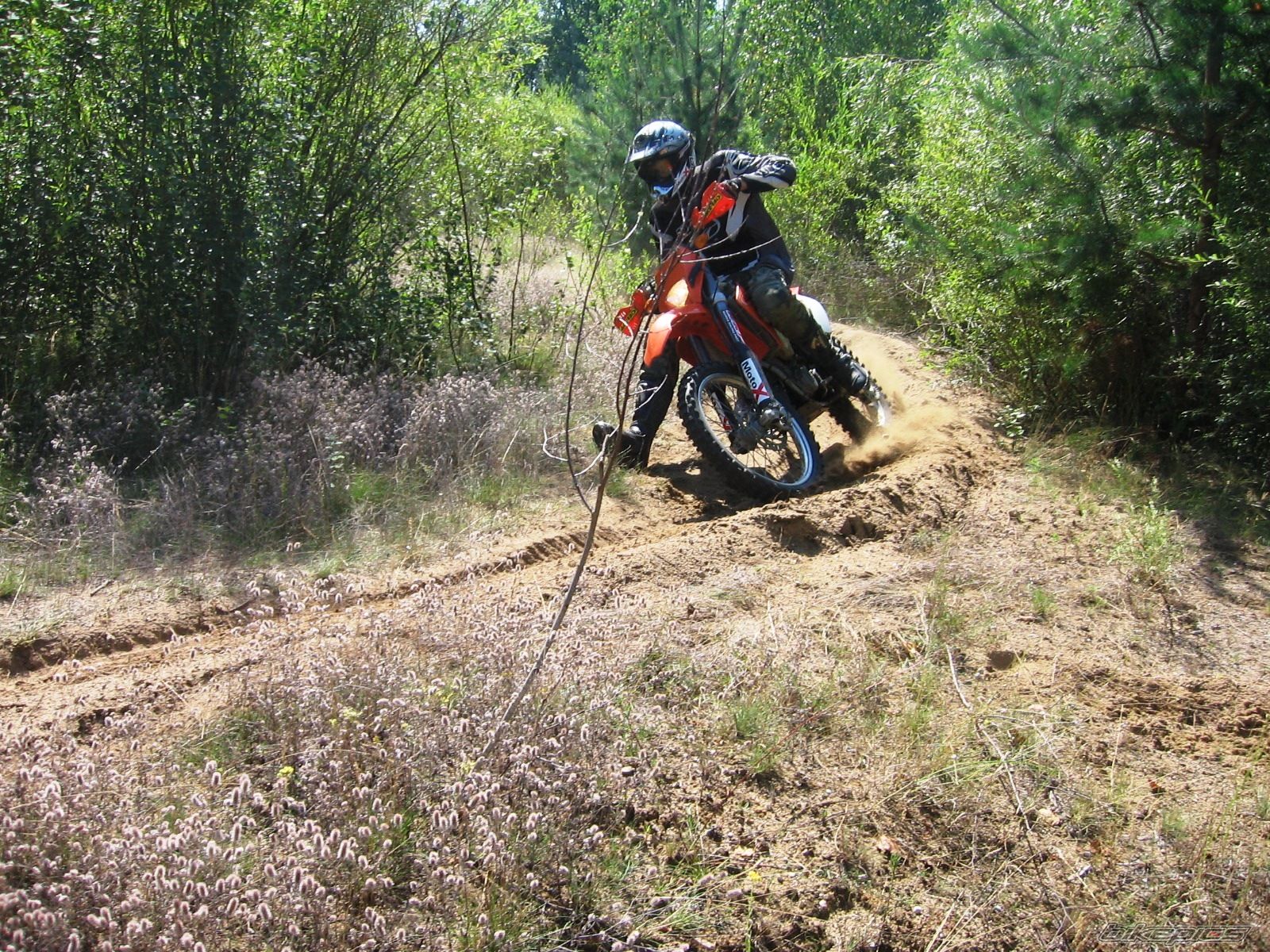 Bike Photo 1769923