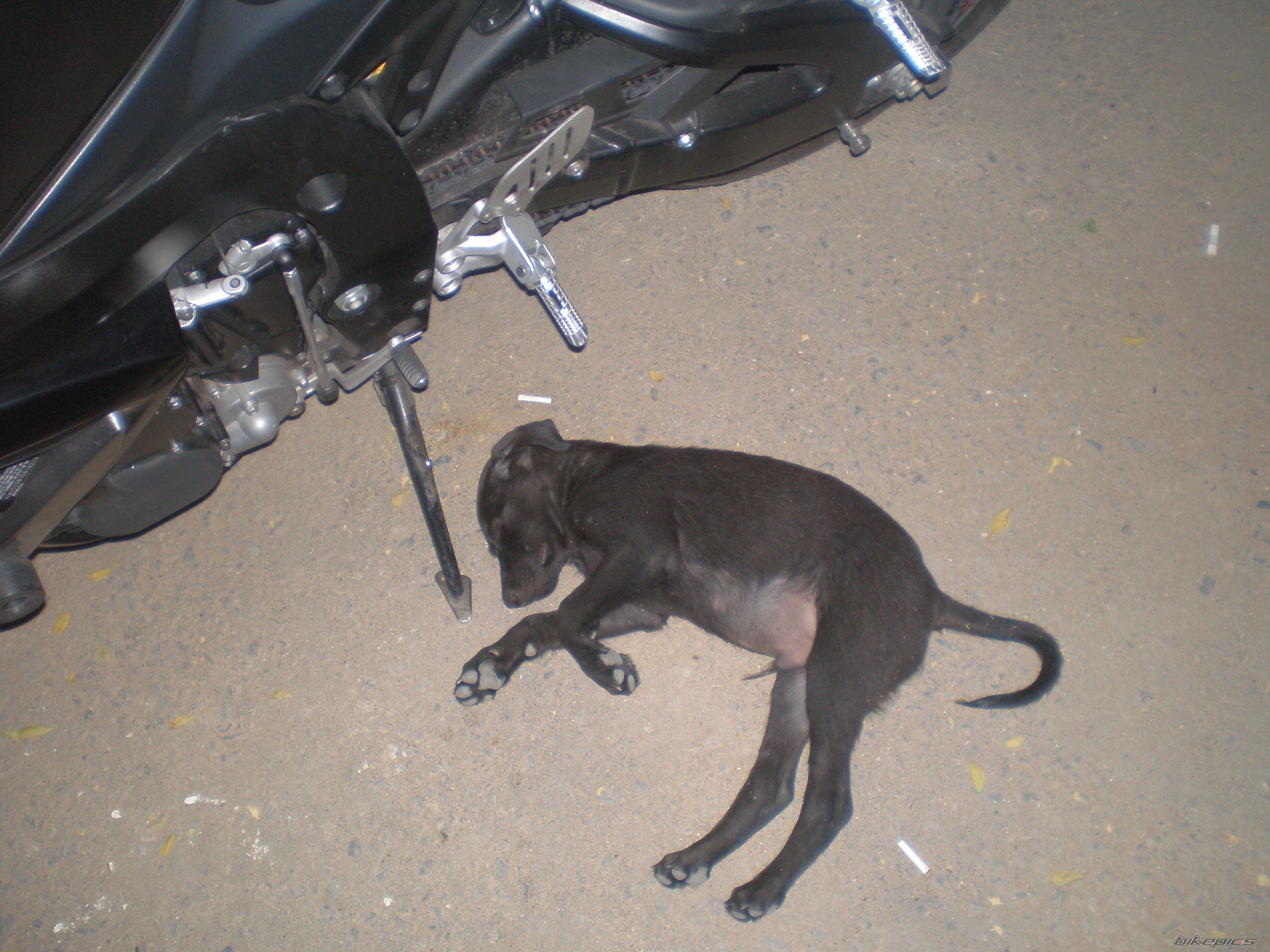 Bike Photo 1770065