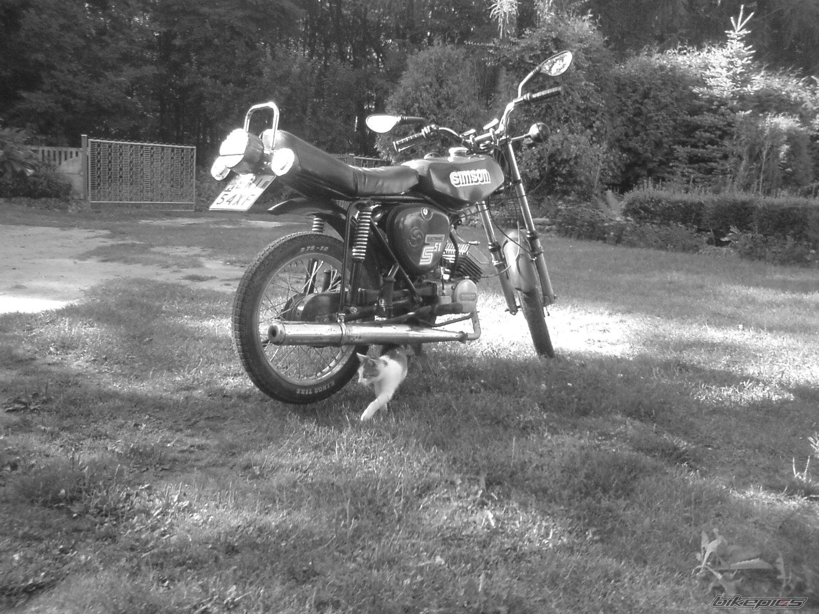 Photo 1770194