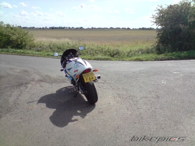 Photo 1770266