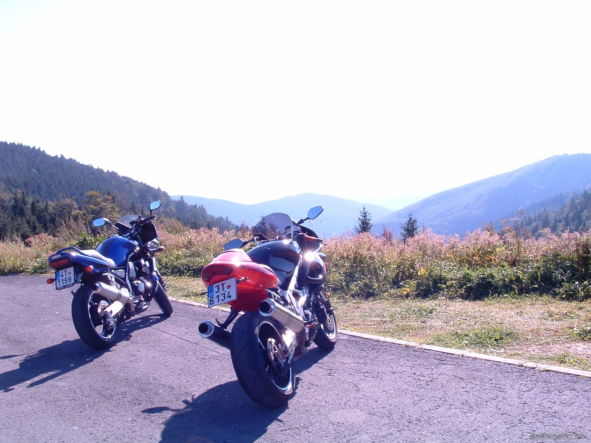 Photo 1770325