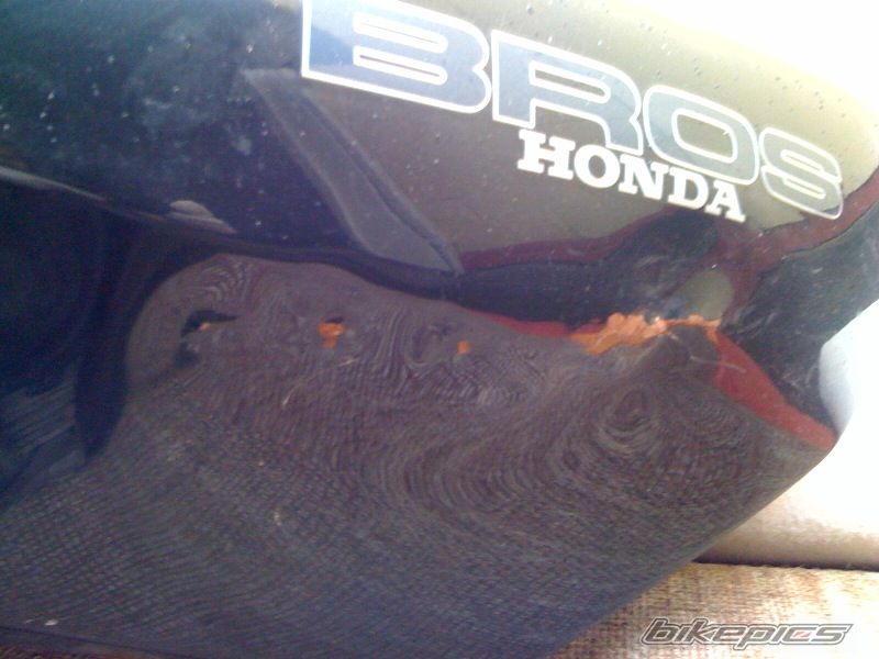 Photo 1770352