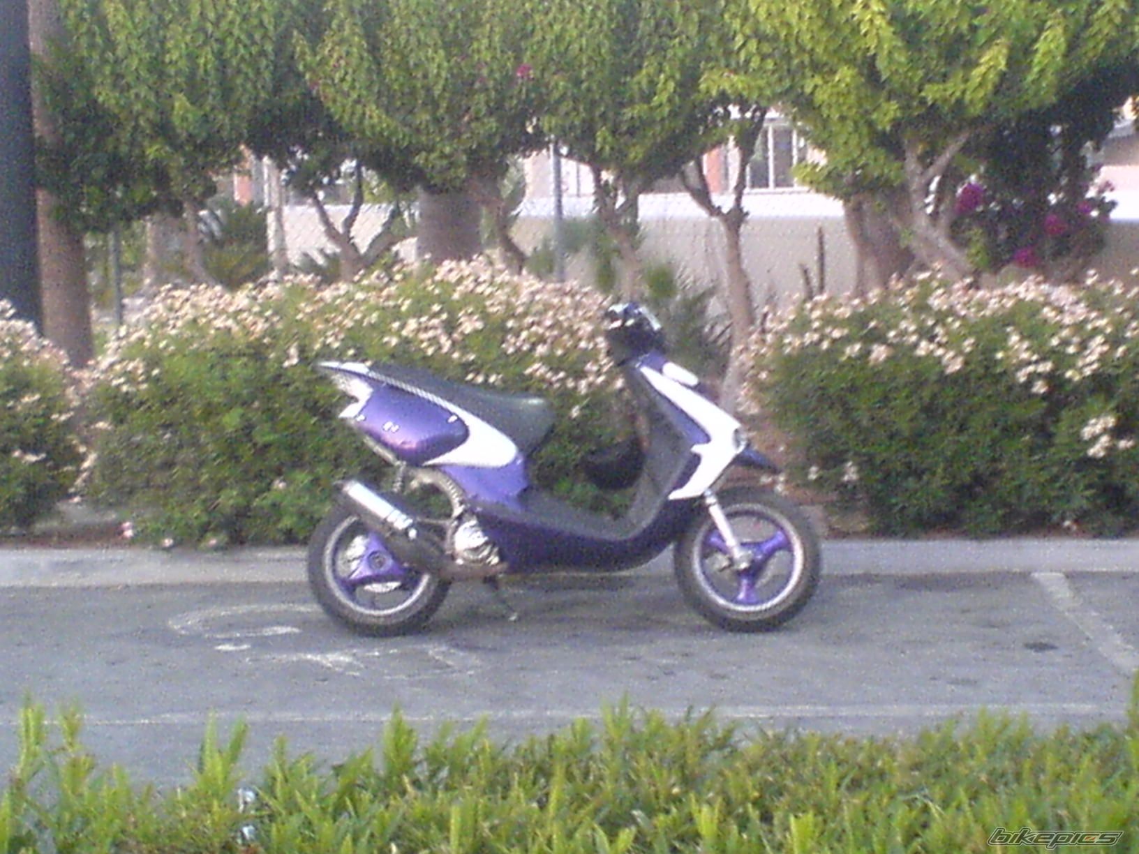Photo 1770381