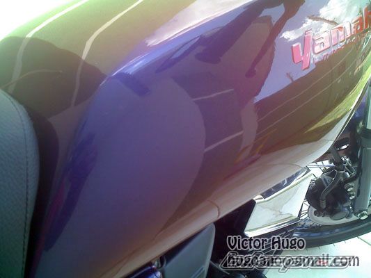 Photo 1770463