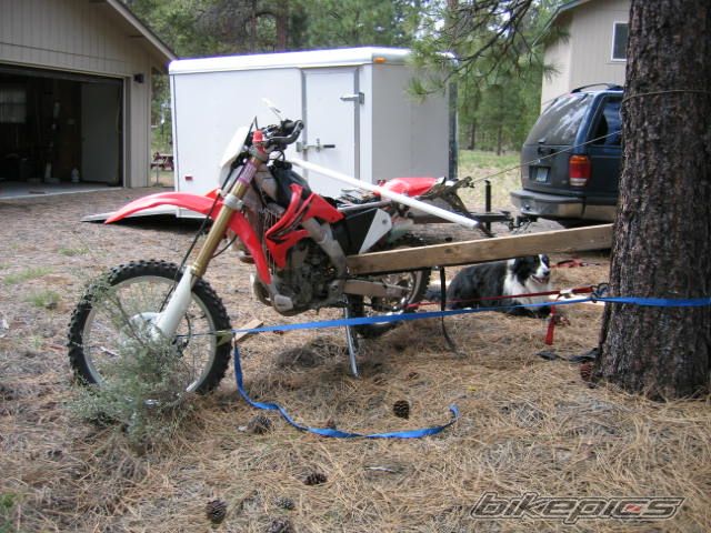 Photo 1770583