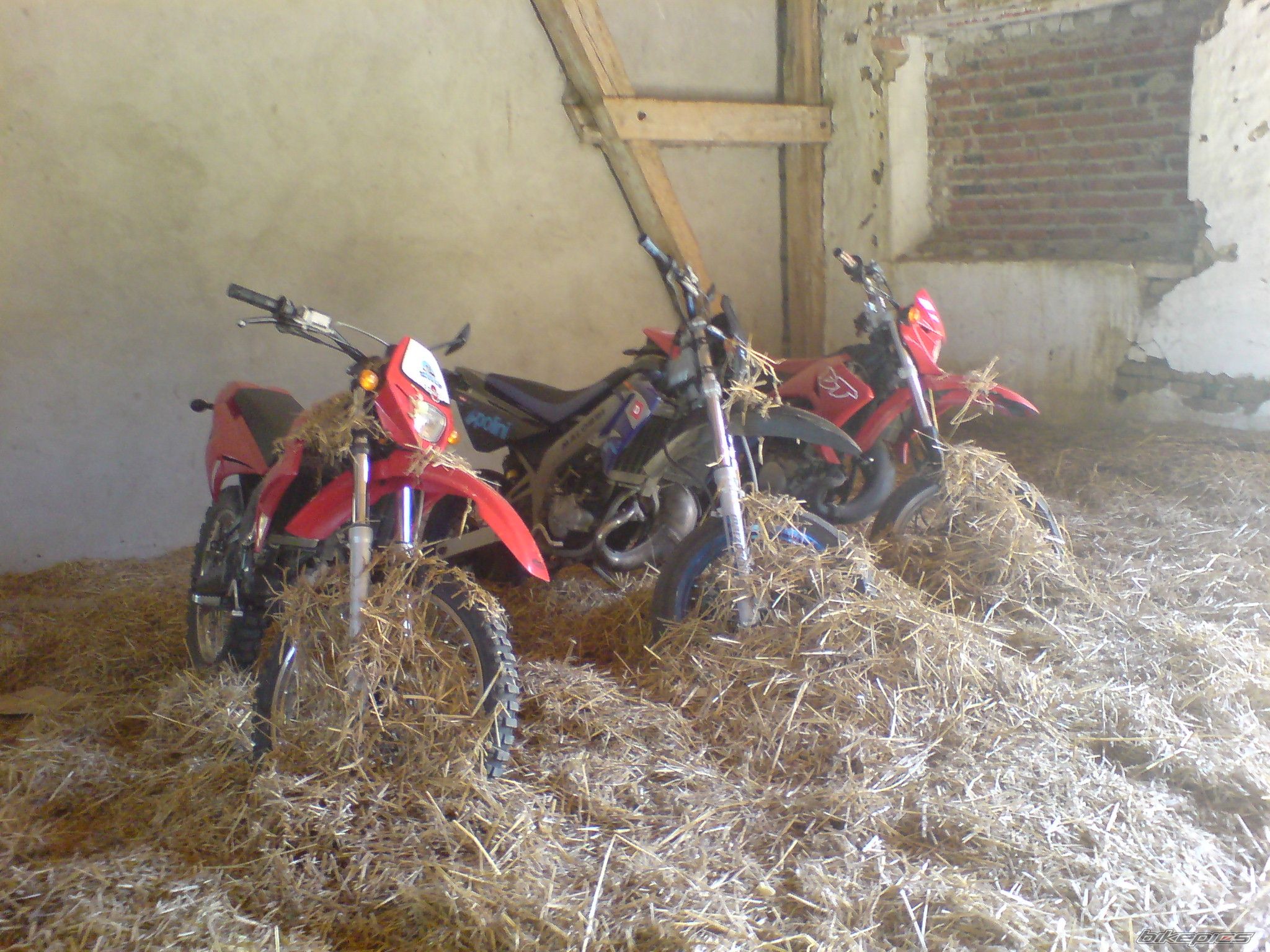 Photo 1770976