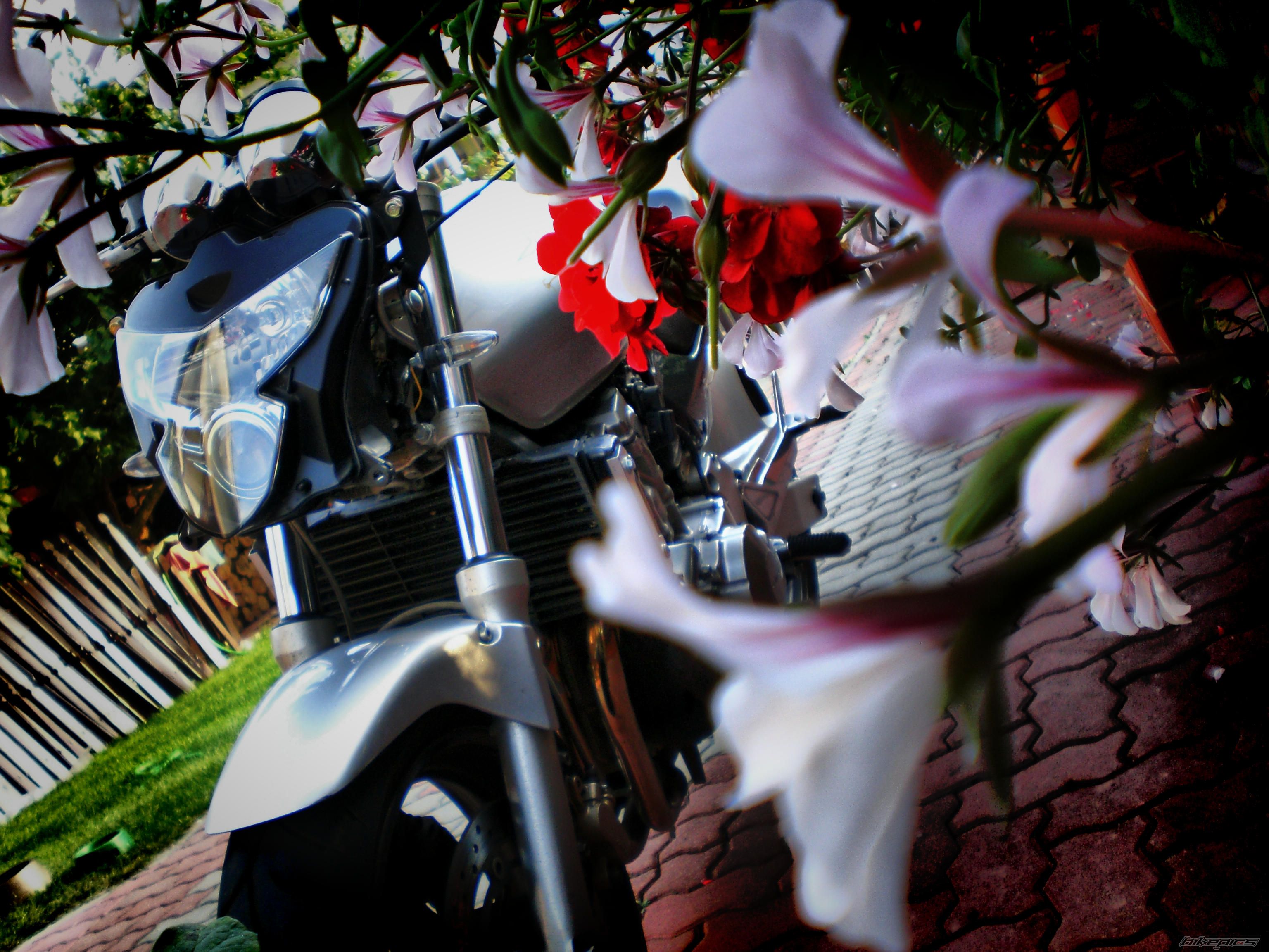Bike Photo 1771114