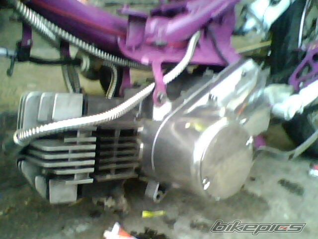 Photo 1771343