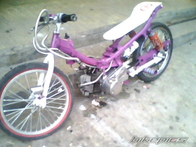 Photo 1771348