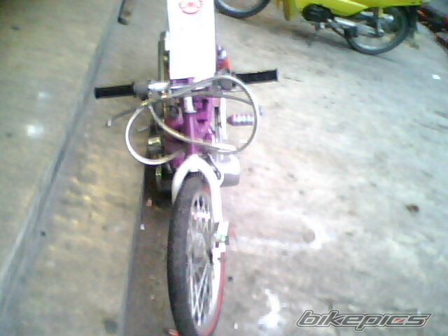 Photo 1771349