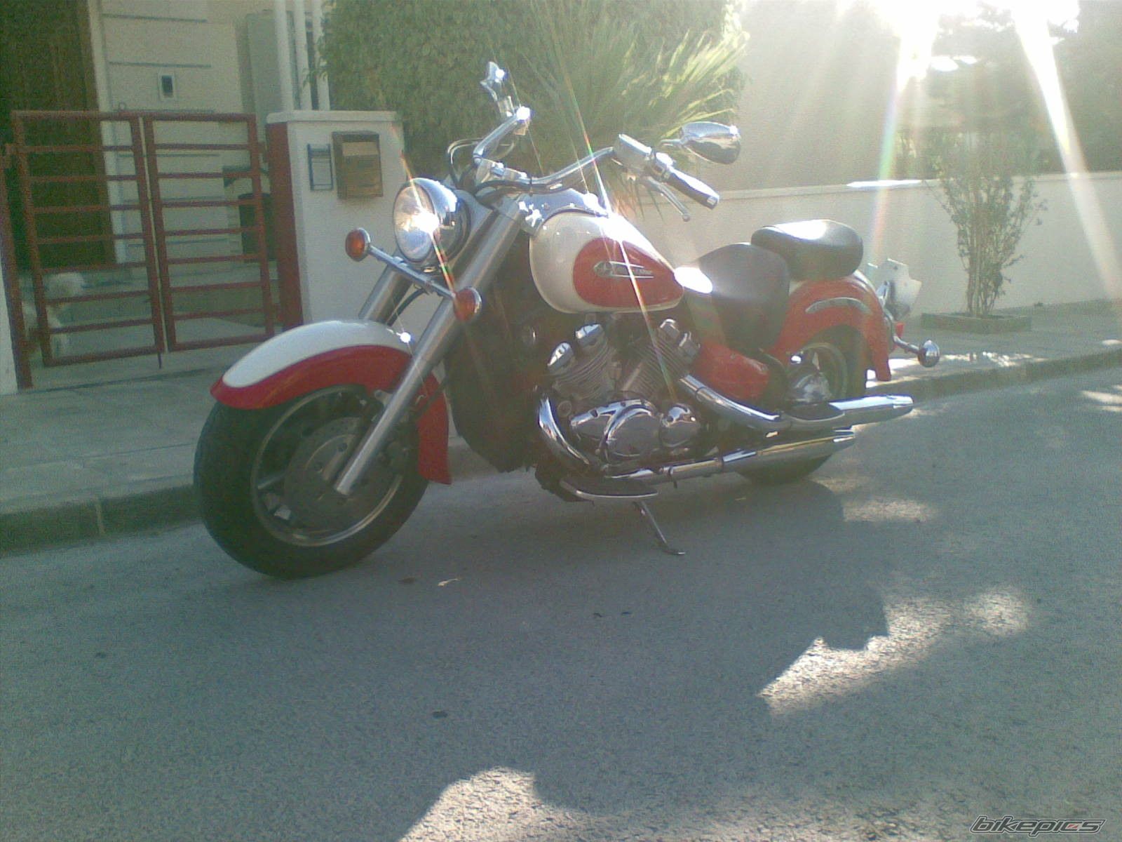 Photo 1771372