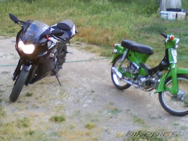 Photo 1771377