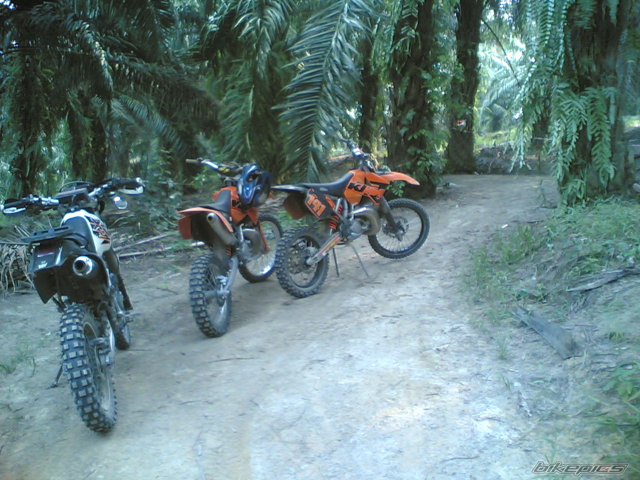 Photo 1771398