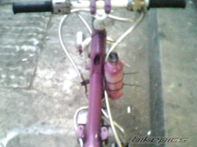 Photo 1771434