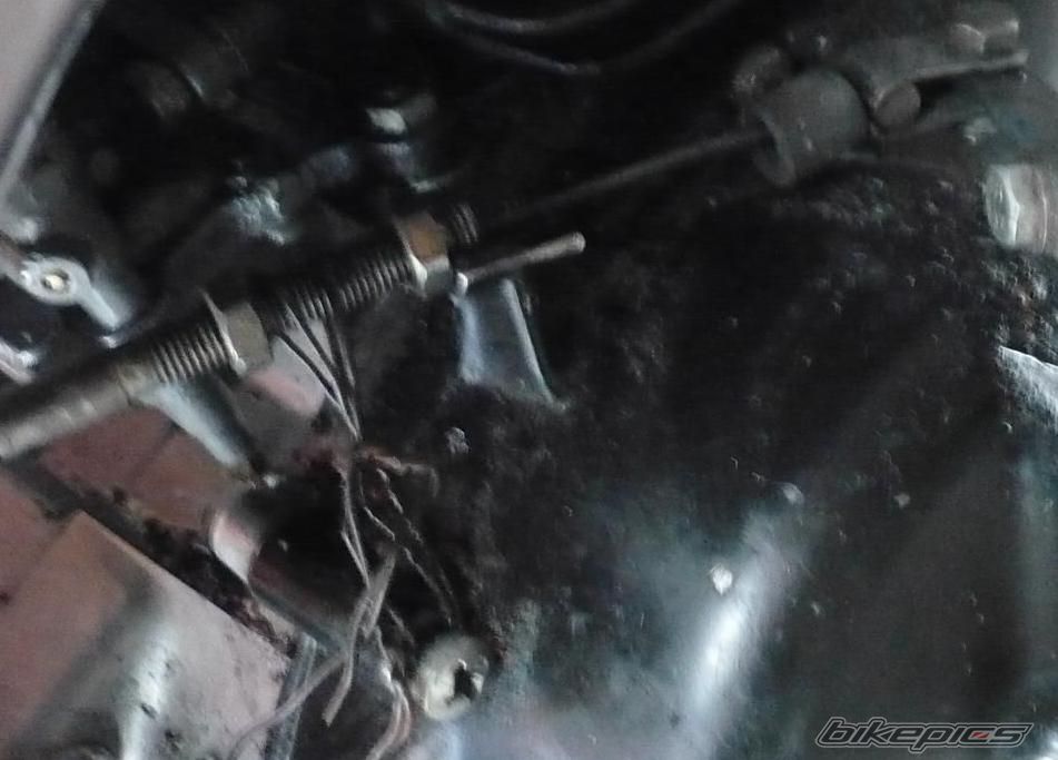 Photo 1771479
