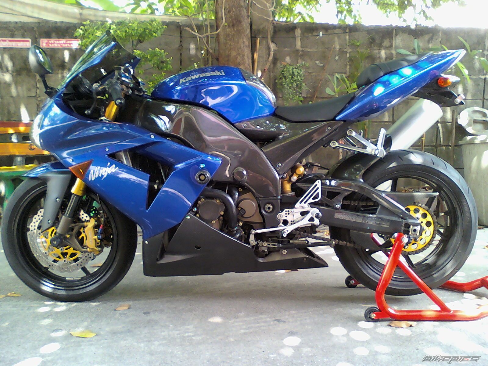 Photo 1771485