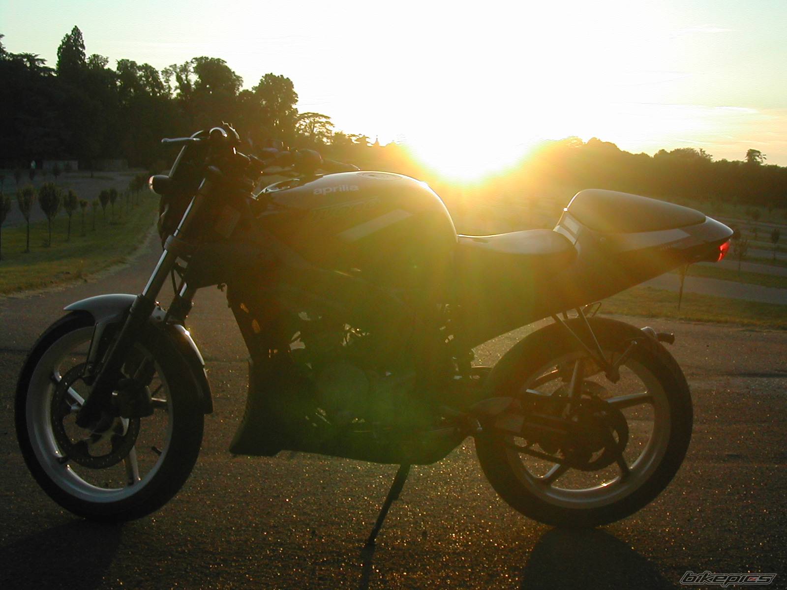Photo 177149