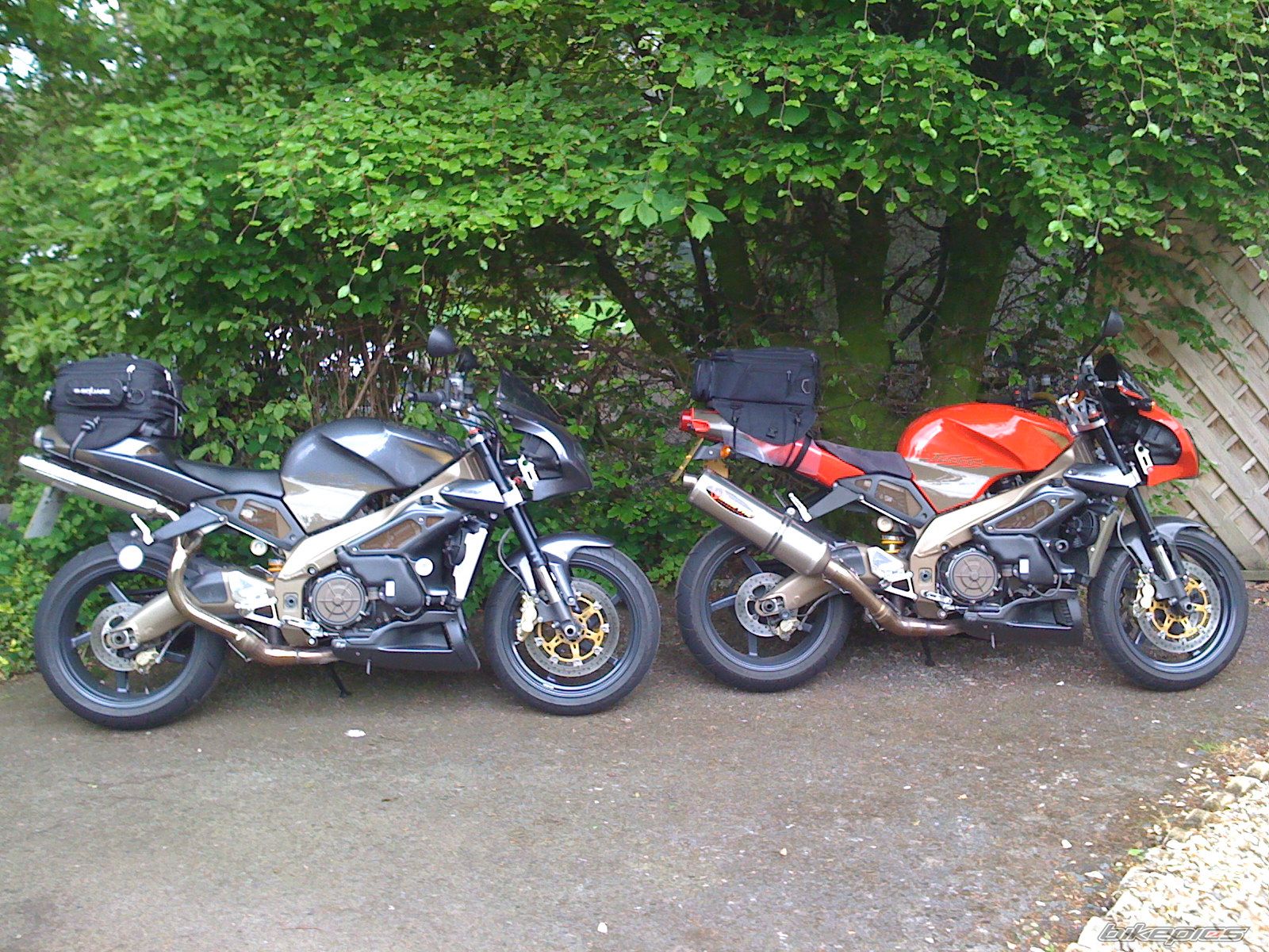 Photo 1771567