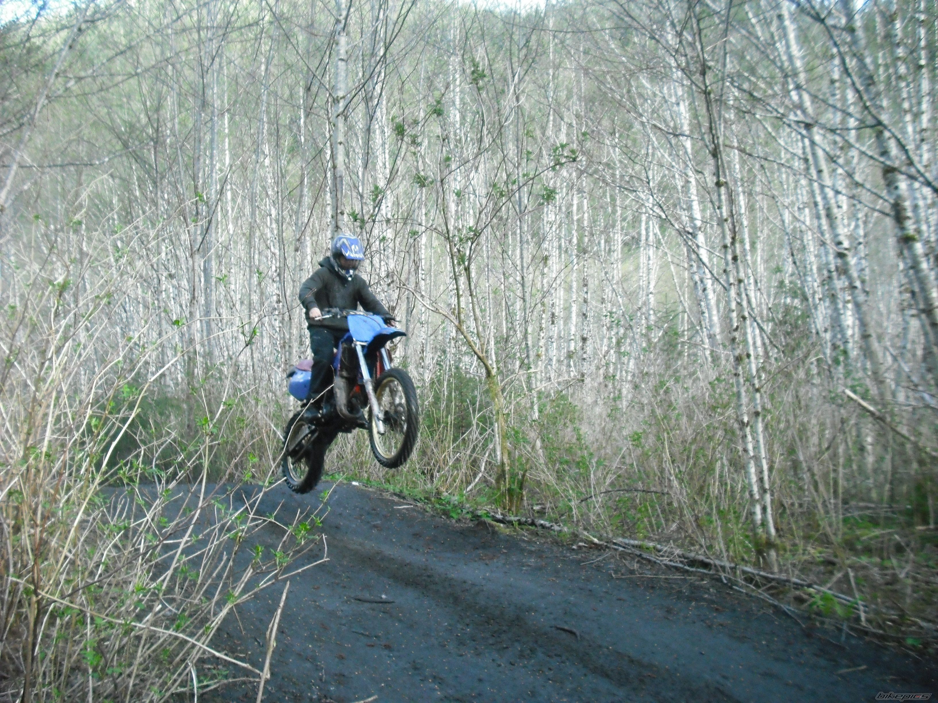 Photo 1771625