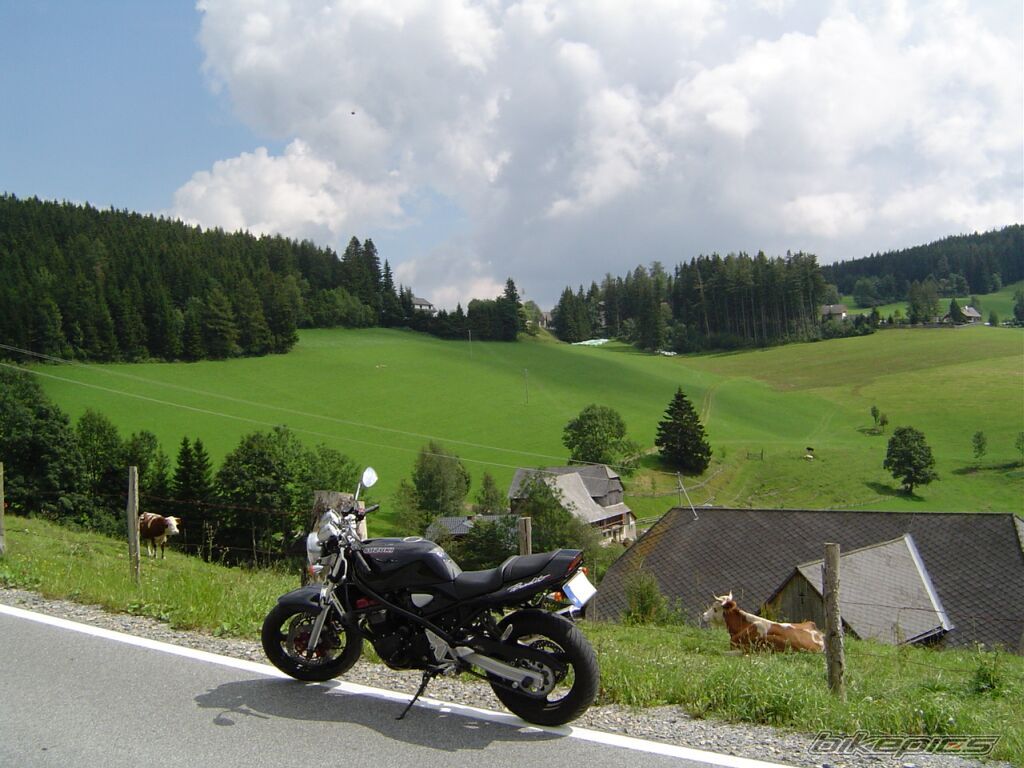 Photo 1771761