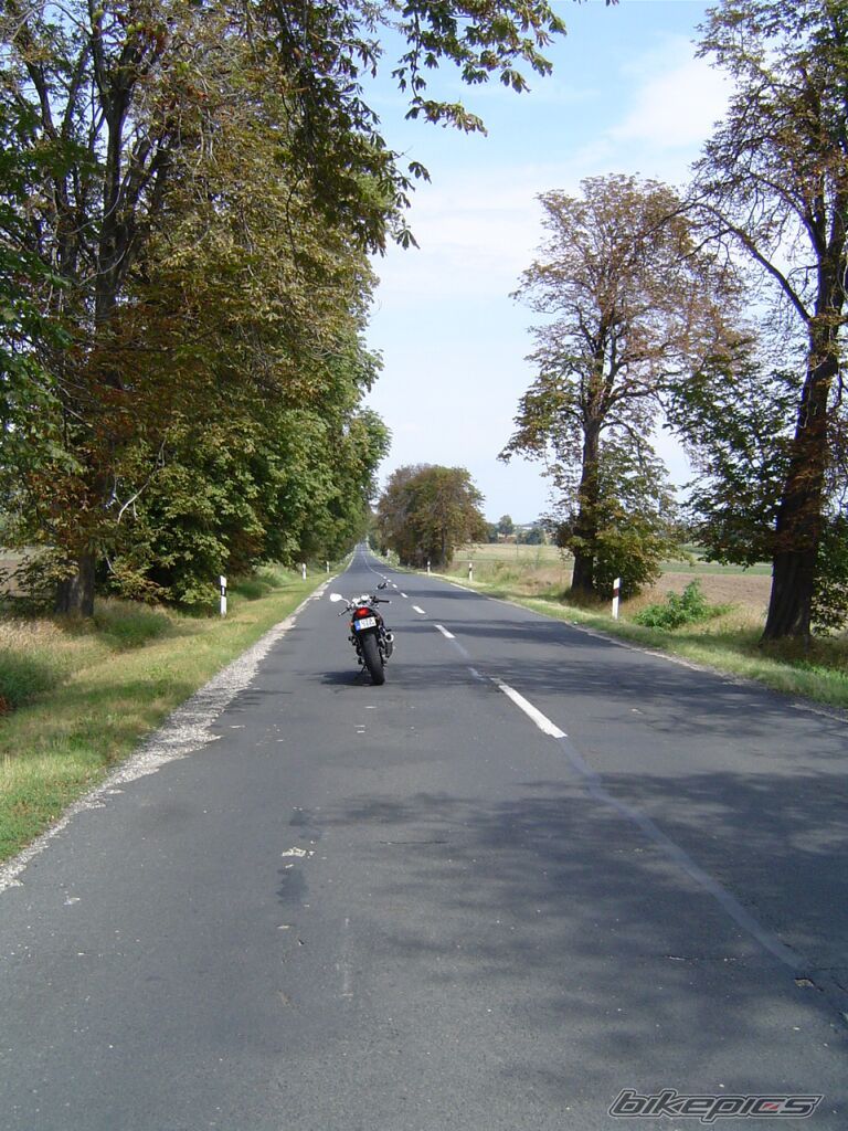 Photo 1771772