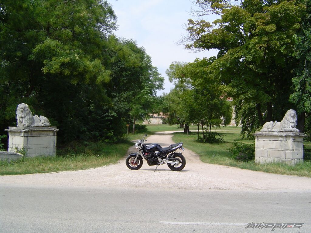 Photo 1771783