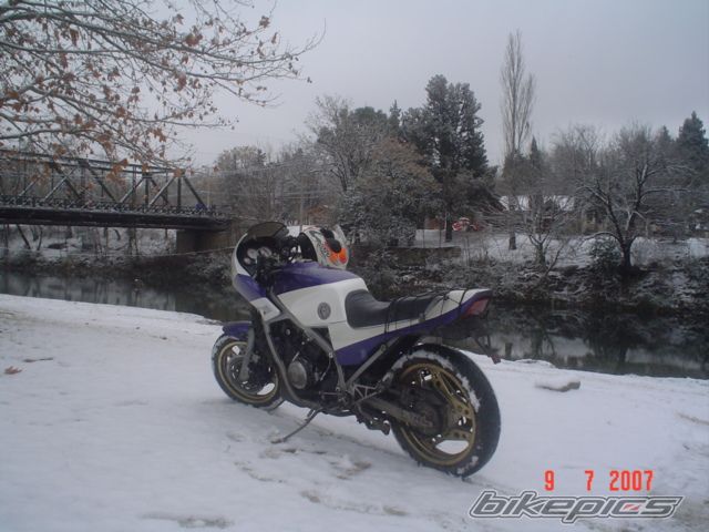 Photo 1771894