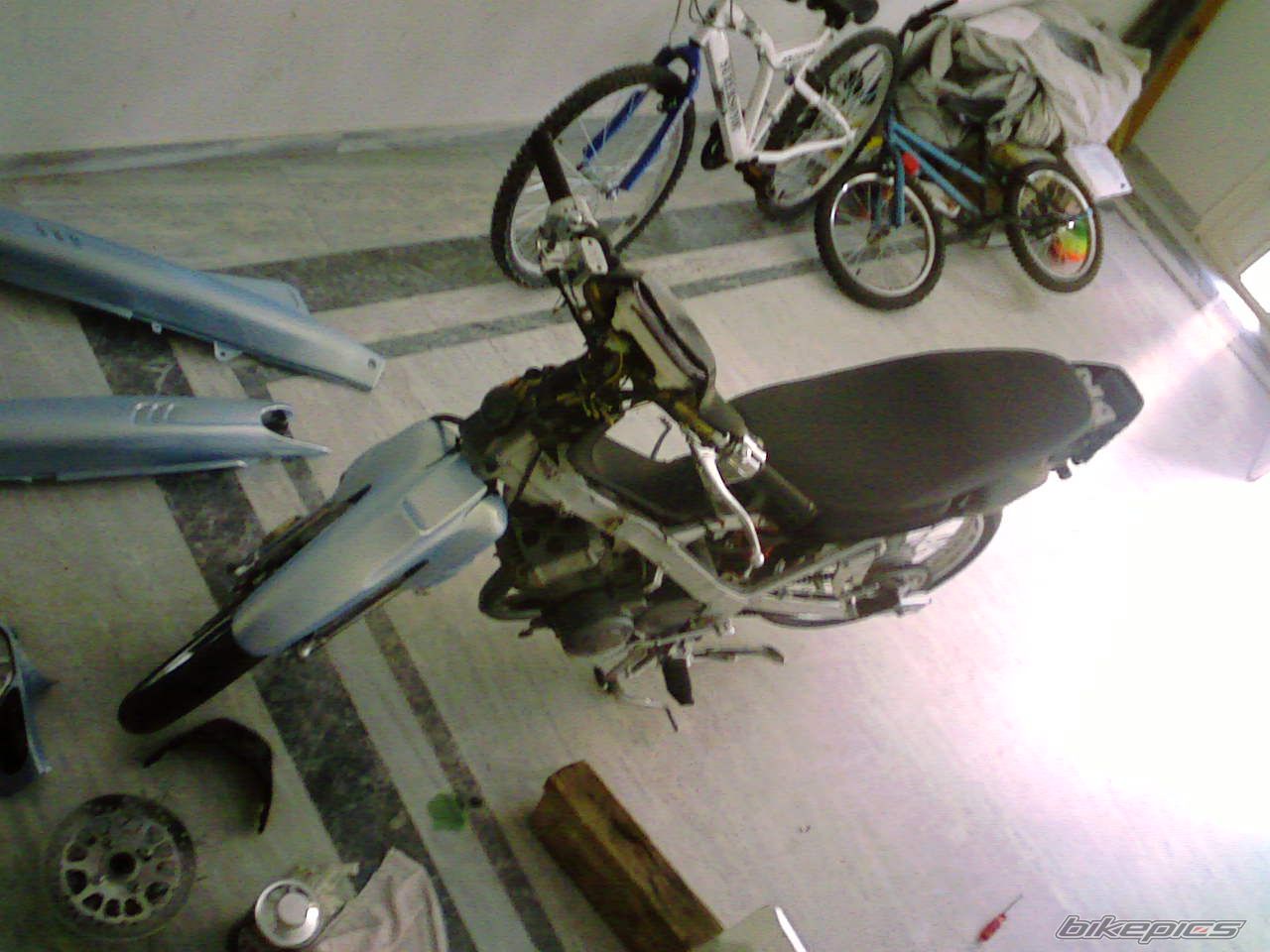 Photo 1771913