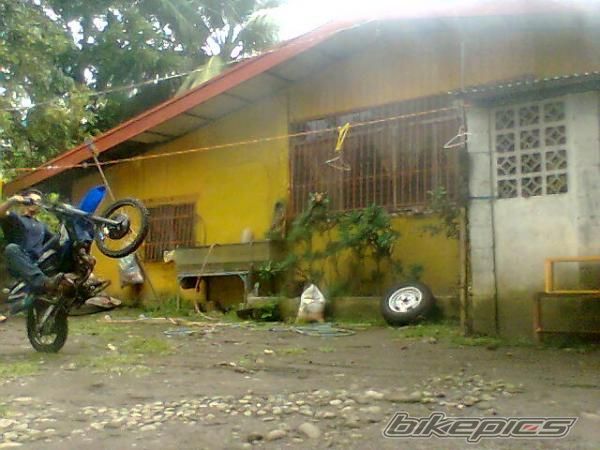 Photo 1771951