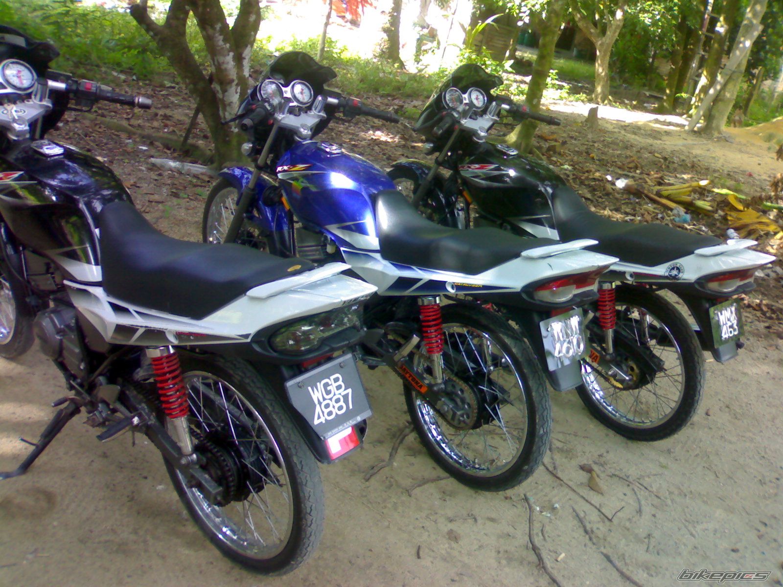 Photo 1772003