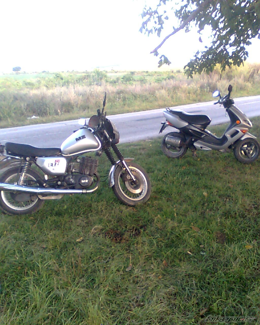 Photo 1772049