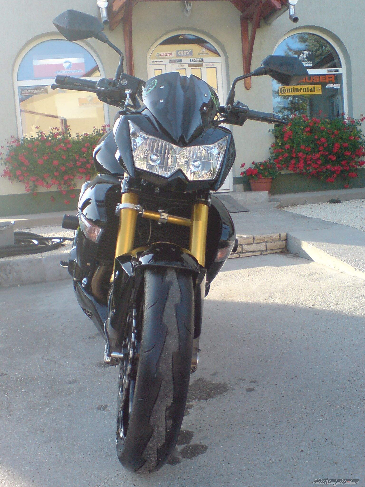 Photo 1772065