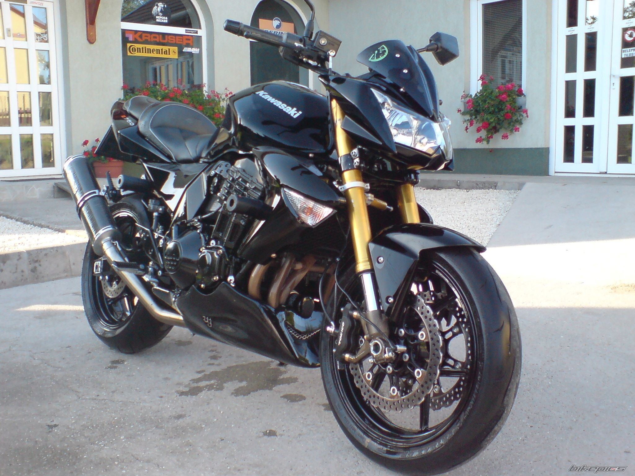 Photo 1772066