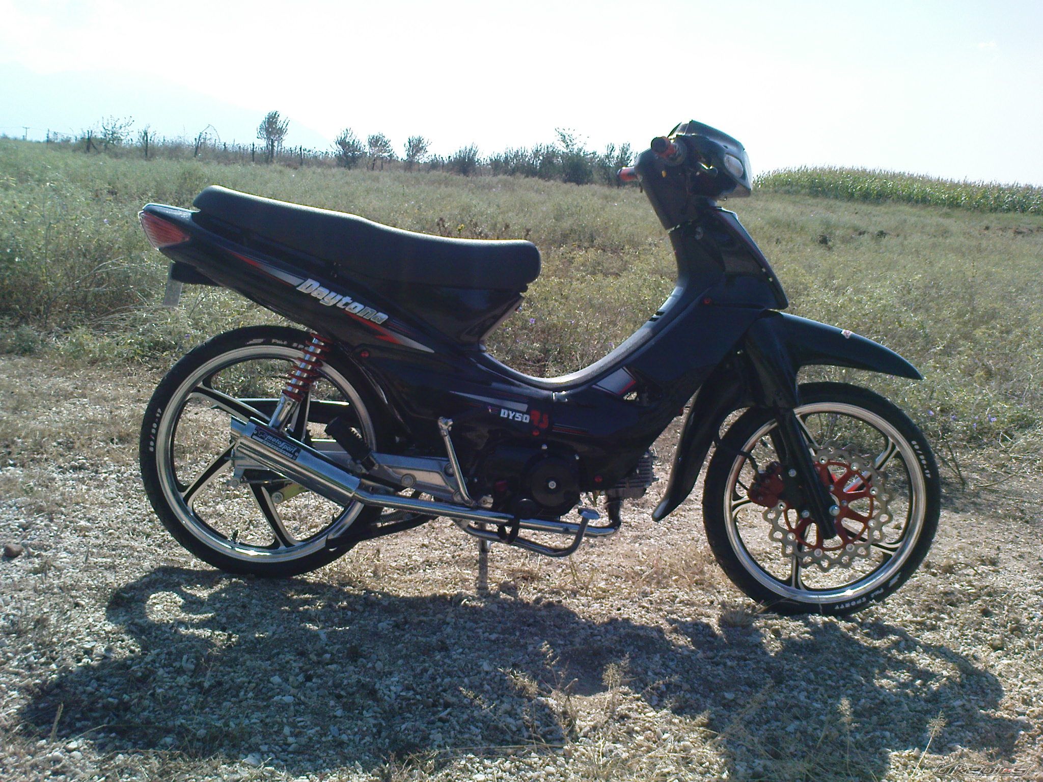 Photo 1772125