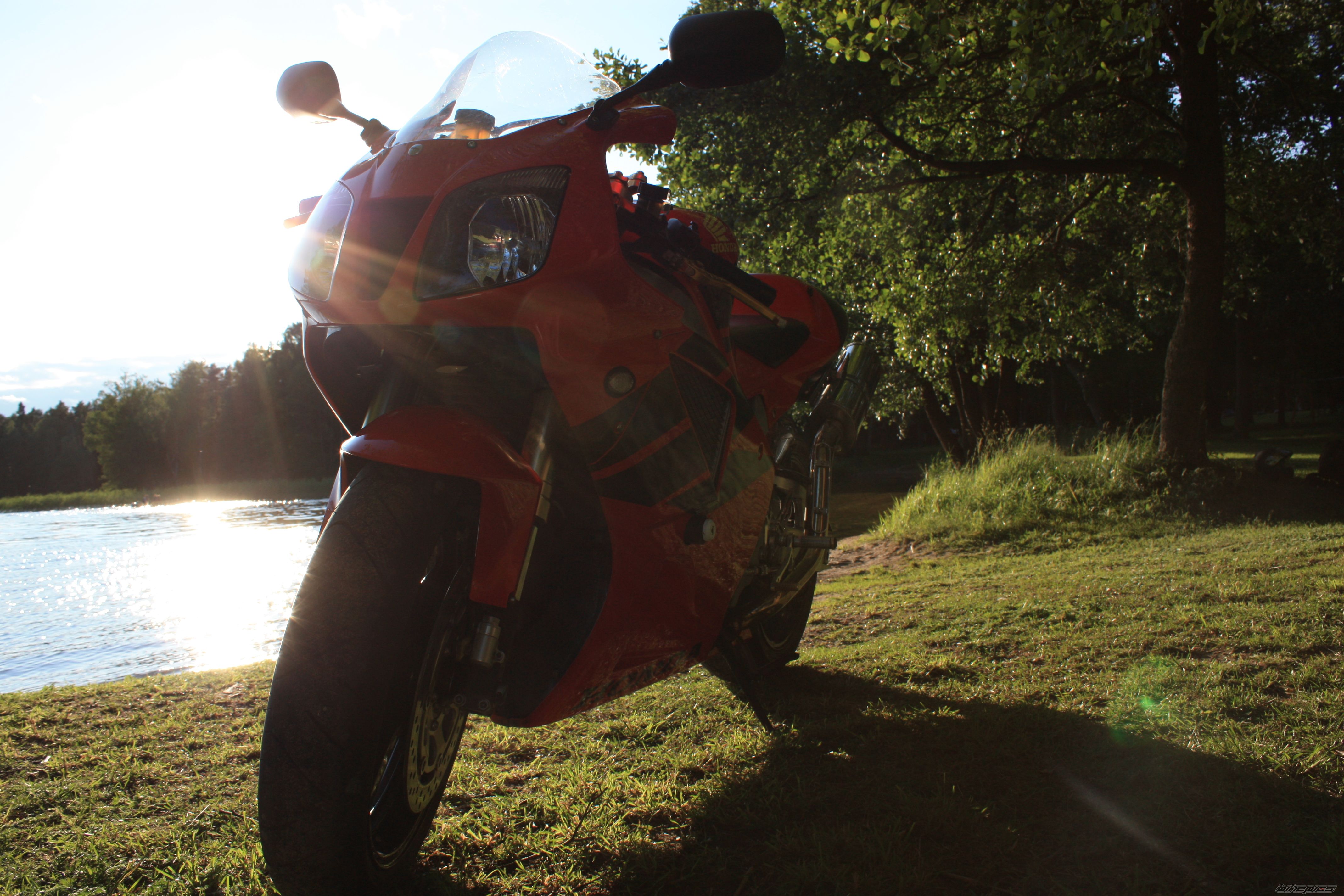 Photo 1772204