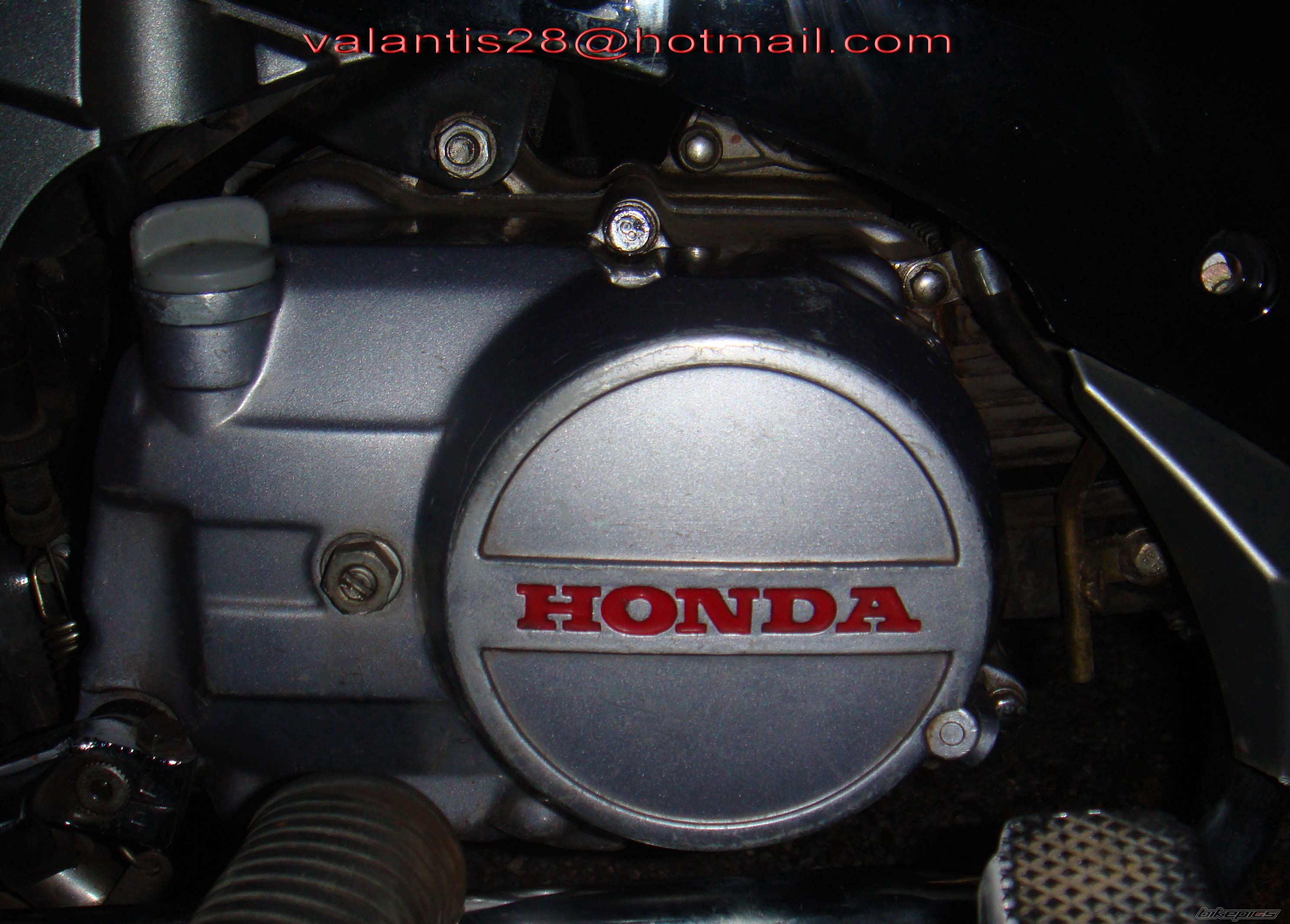 Photo 1772240