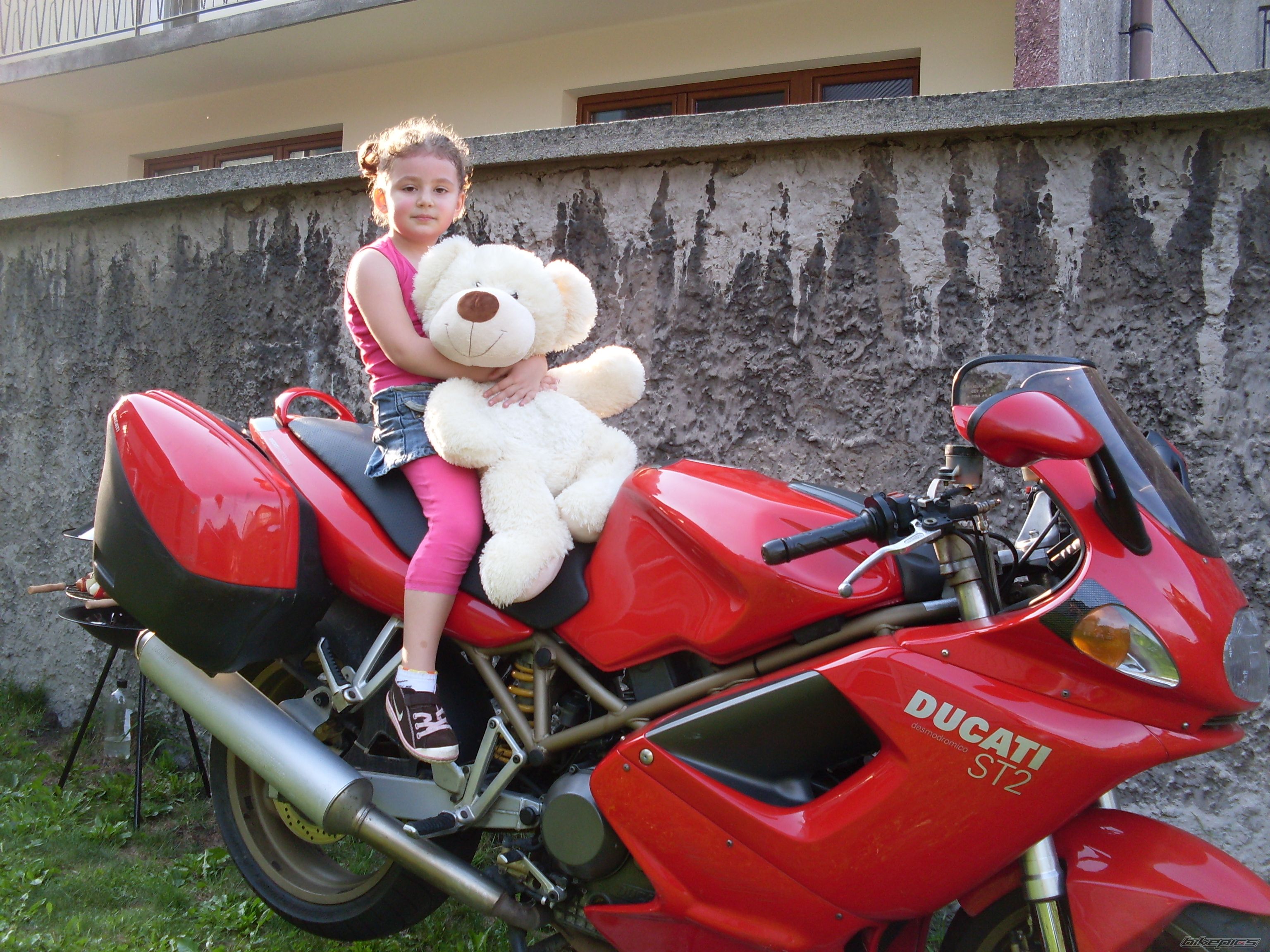 Photo 1772251