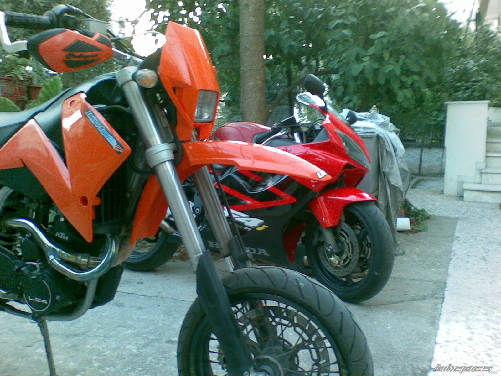 Photo 1772264