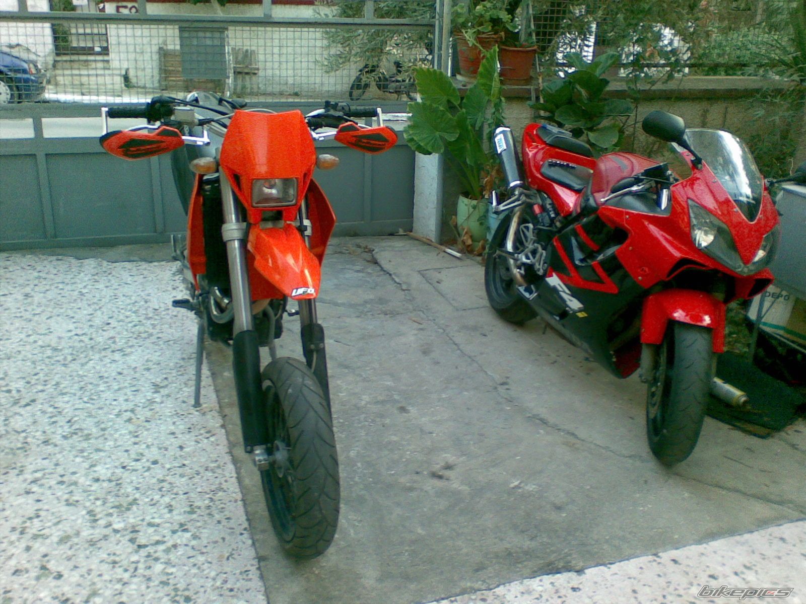 Photo 1772267